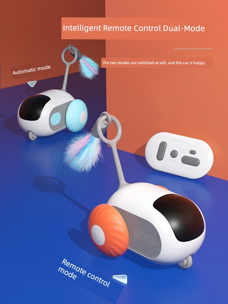 Remote Control Cat Car