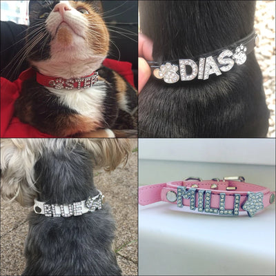 Bling Rhinestone Dog Collar - Luxury Petz