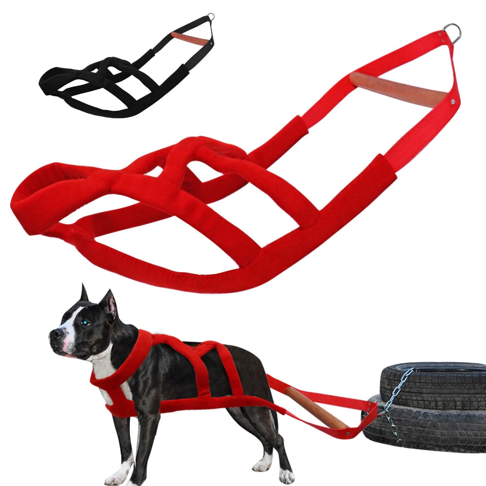 Durable Padded Dog Harness - Luxury Petz