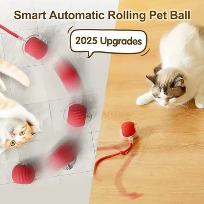 Interactive Cat Tail Ball