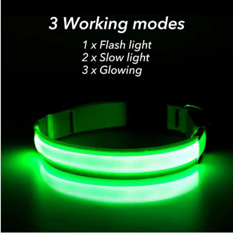 GlowSafe LED Pet Collar - Luxury Petz