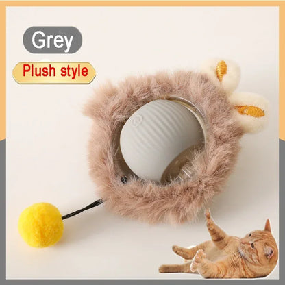 Interactive Cat Tail Ball