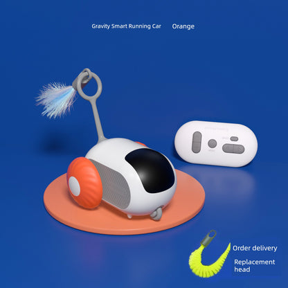 Remote Control Cat Car