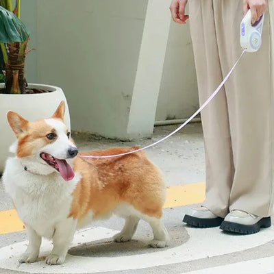 Smart Retractable Dog Leash - Luxury Petz