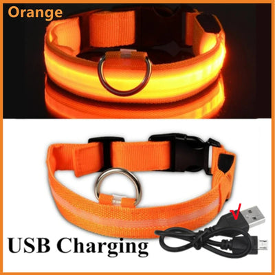 GlowSafe LED Pet Collar - Luxury Petz