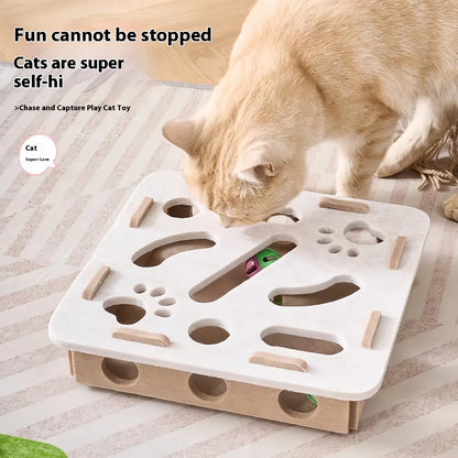 Interactive Cat Puzzle Box