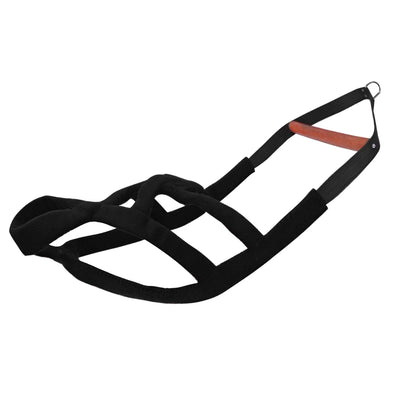 Durable Padded Dog Harness - Luxury Petz