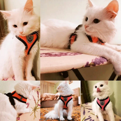 Summer Pet Harness Vest - Luxury Petz