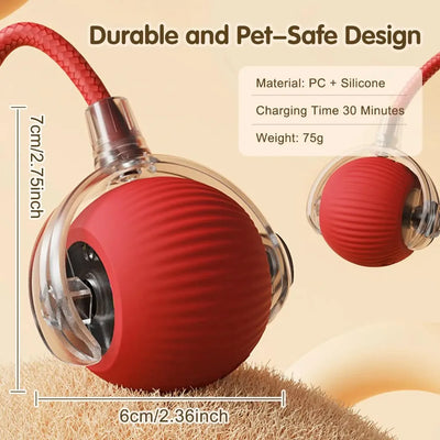 Smart Cat Rolling Toy - Luxury Petz