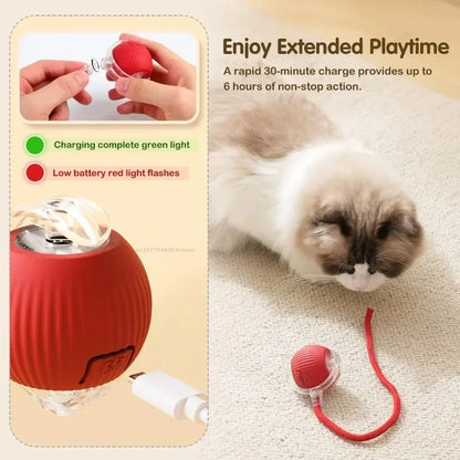 Interactive Cat Tail Ball