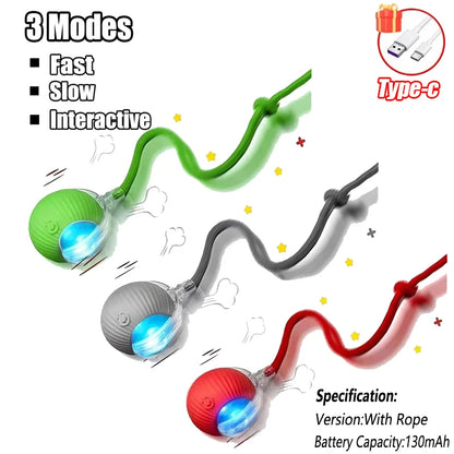 Interactive Cat Tail Ball