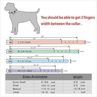 Bling Rhinestone Dog Collar - Luxury Petz