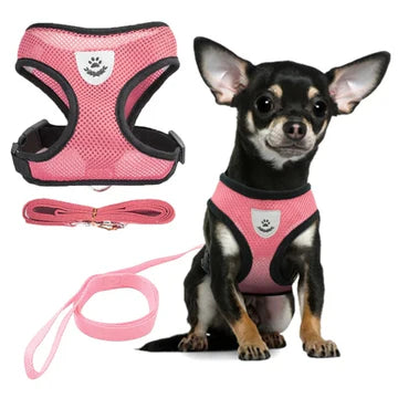 Summer Pet Harness Vest - Luxury Petz