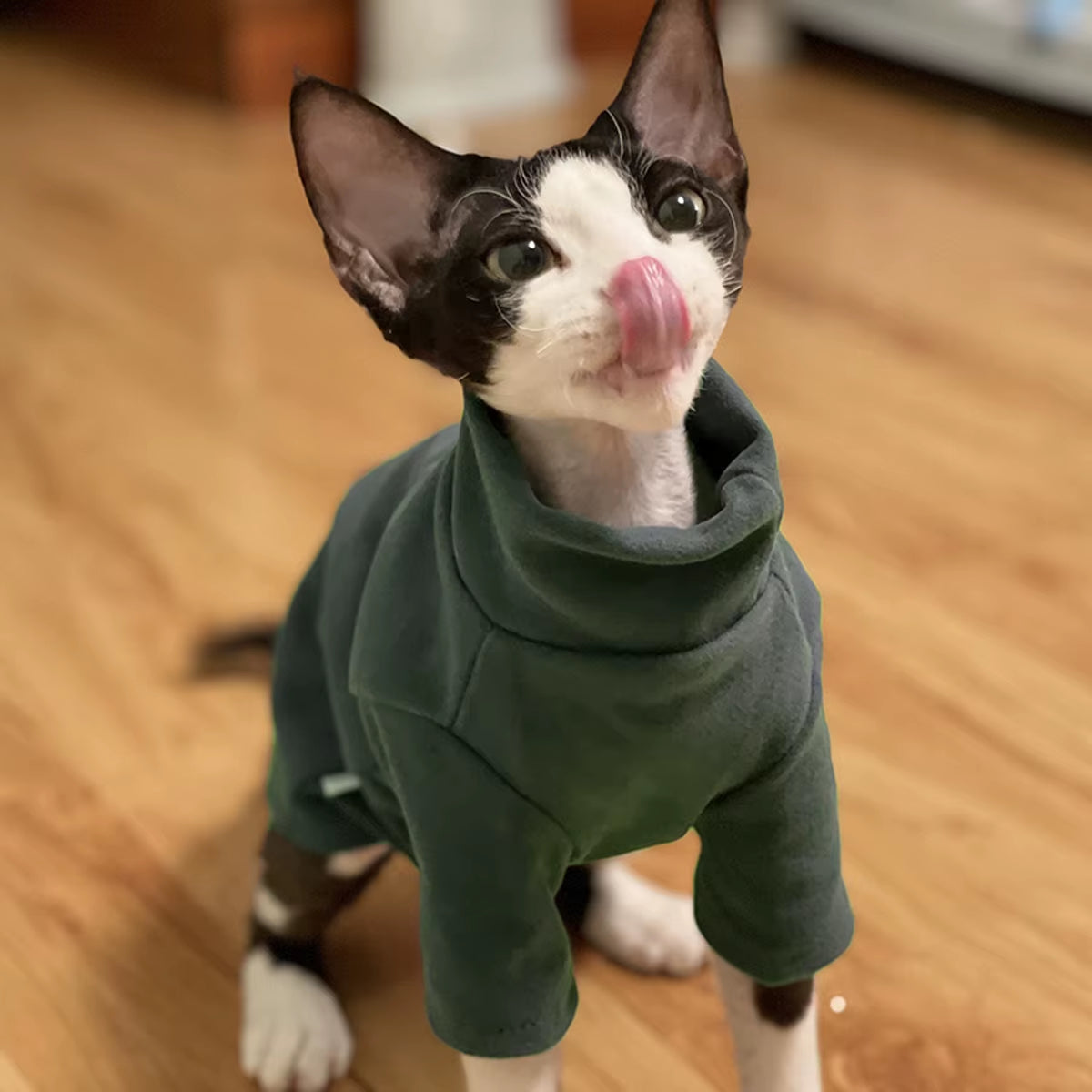 Sphynx Cat Clothes Baby Soft Cotton Fall Winter Kitten Clothes for Cornish Devon Cat Costume Hairless Cat Clothes